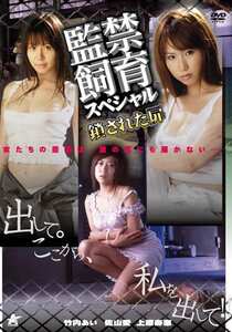 DJM-039