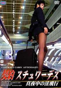 DVS-032