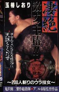 Y-063