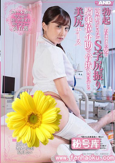 1dandy00681