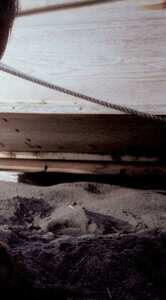 INTFS-033