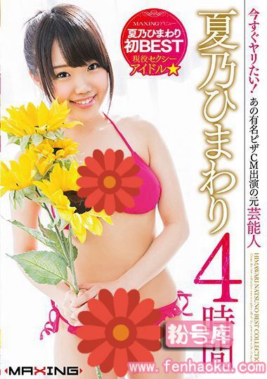 h_068mxsps00541