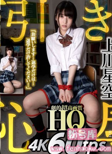 h_1127gopj00288