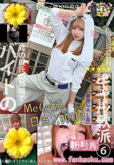 h_1133honb00119
