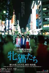 ROMANP-009