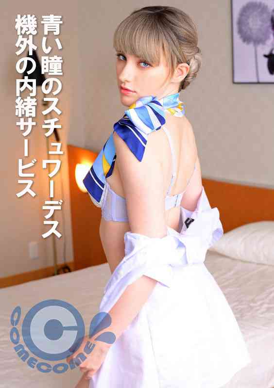 h_1462pyu00403