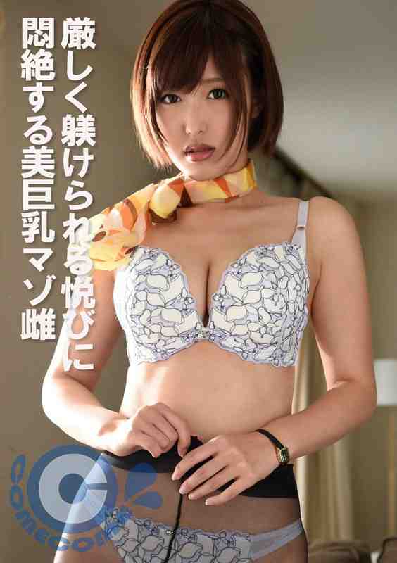 h_1462pyu00446