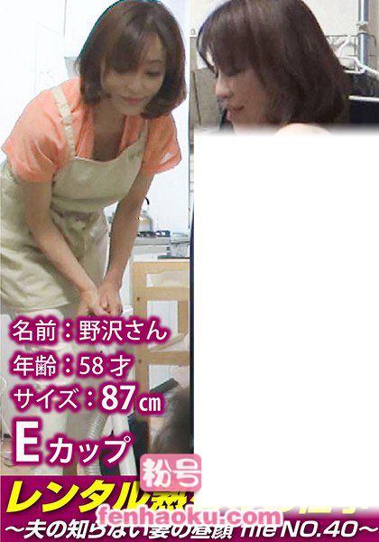 h_1492siror00040