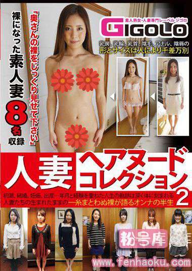 h_860gigl00182