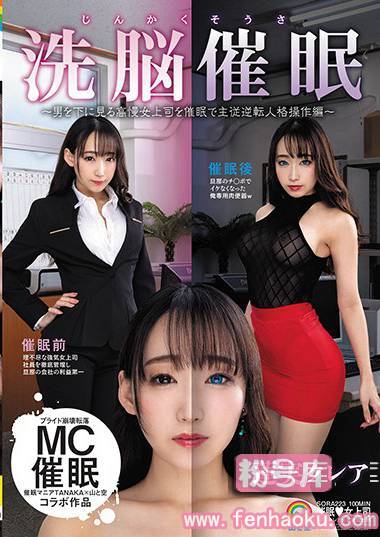 sora00223